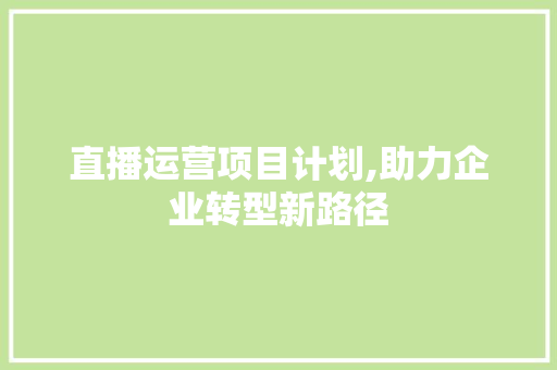 直播运营项目计划,助力企业转型新路径 工作类