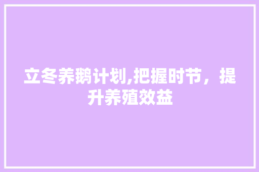 立冬养鹅计划,把握时节，提升养殖效益