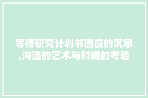 等待研究计划书回应的沉思,沟通的艺术与时间的考验