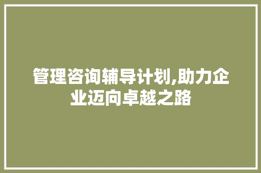 管理咨询辅导计划,助力企业迈向卓越之路