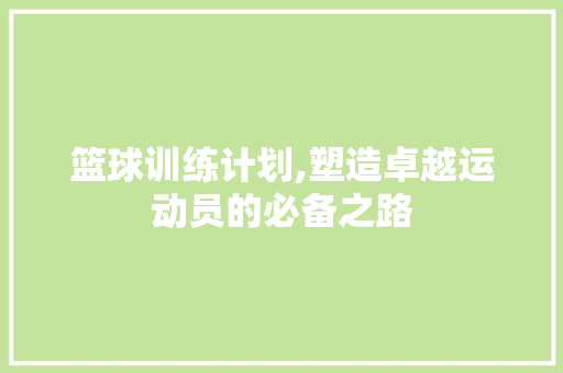 篮球训练计划,塑造卓越运动员的必备之路 工作总结