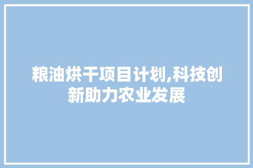 粮油烘干项目计划,科技创新助力农业发展