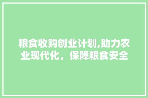 粮食收购创业计划,助力农业现代化，保障粮食安全