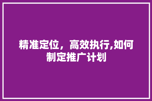 精准定位，高效执行,如何制定推广计划