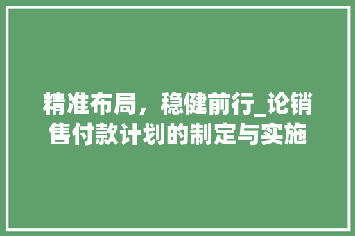 精准布局，稳健前行_论销售付款计划的制定与实施