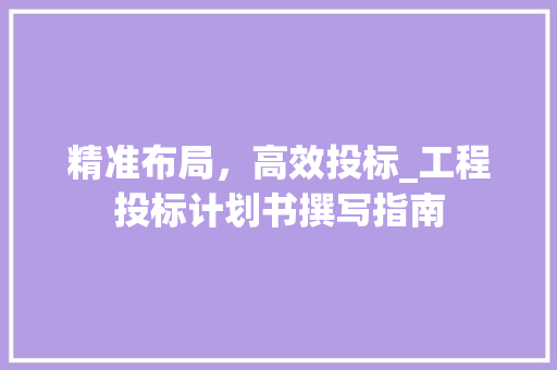 精准布局，高效投标_工程投标计划书撰写指南