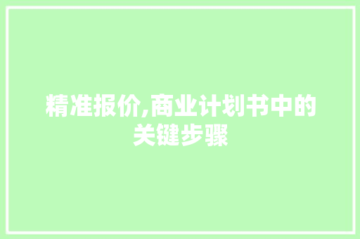 精准报价,商业计划书中的关键步骤 工作报告