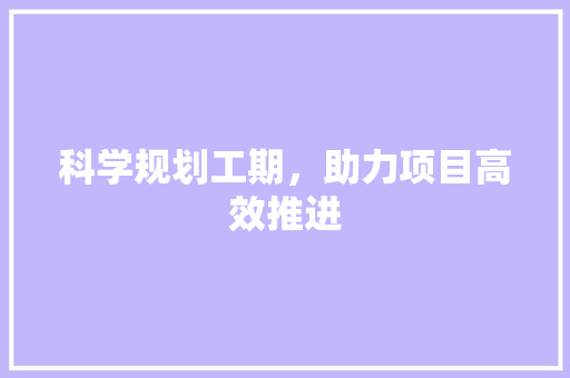 科学规划工期，助力项目高效推进
