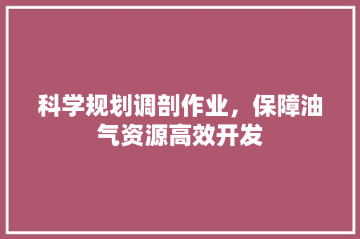 科学规划调剖作业，保障油气资源高效开发