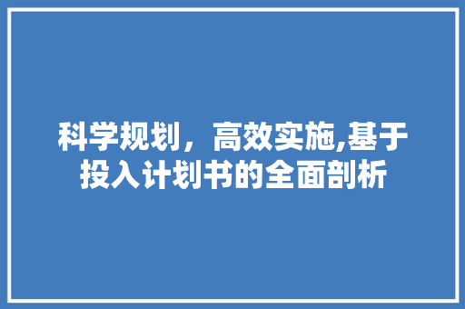 科学规划，高效实施,基于投入计划书的全面剖析