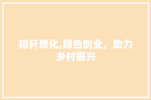 秸秆炭化,绿色创业，助力乡村振兴