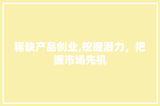 稀缺产品创业,挖掘潜力，把握市场先机 工作报告
