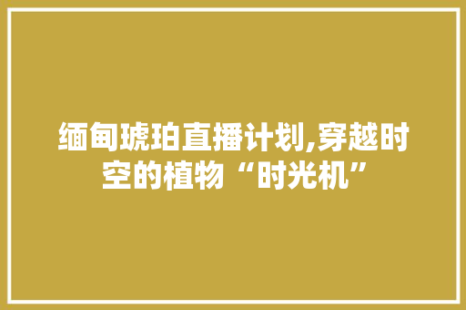 缅甸琥珀直播计划,穿越时空的植物“时光机”