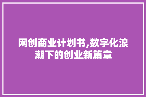 网创商业计划书,数字化浪潮下的创业新篇章