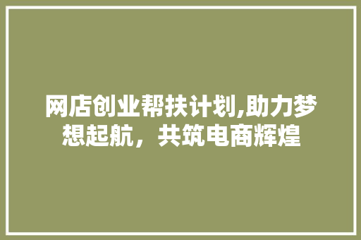 网店创业帮扶计划,助力梦想起航，共筑电商辉煌 特写稿