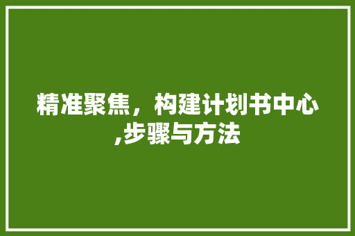 精准聚焦，构建计划书中心,步骤与方法
