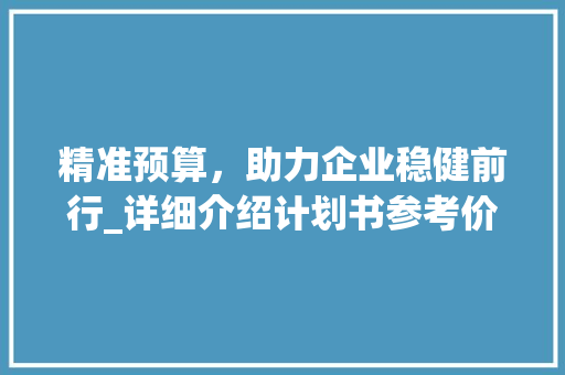 精准预算，助力企业稳健前行_详细介绍计划书参考价的应用