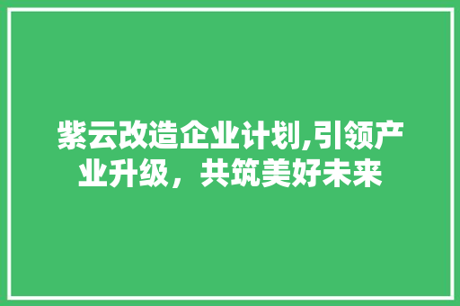 紫云改造企业计划,引领产业升级，共筑美好未来