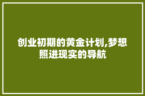 创业初期的黄金计划,梦想照进现实的导航