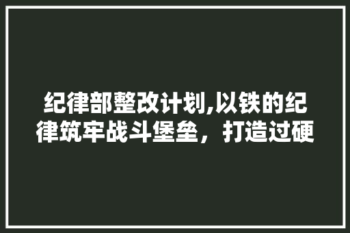 纪律部整改计划,以铁的纪律筑牢战斗堡垒，打造过硬队伍