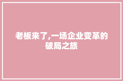 老板来了,一场企业变革的破局之旅