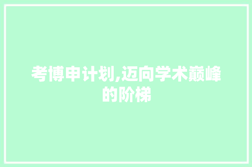 考博申计划,迈向学术巅峰的阶梯