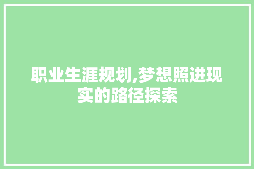 职业生涯规划,梦想照进现实的路径探索