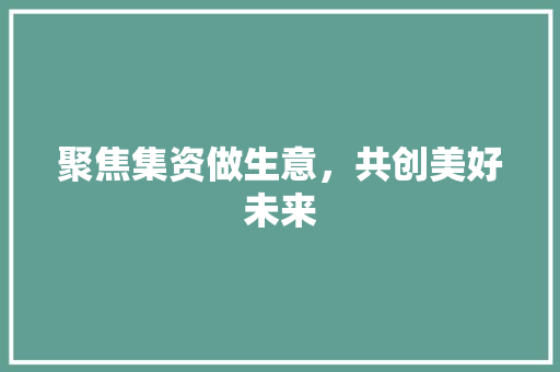 聚焦集资做生意，共创美好未来