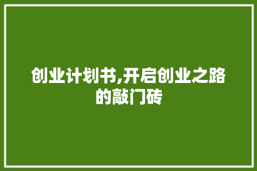 创业计划书,开启创业之路的敲门砖