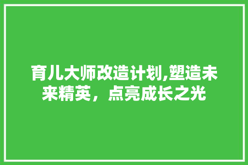 育儿大师改造计划,塑造未来精英，点亮成长之光