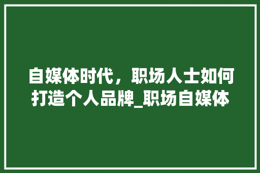 自媒体时代，职场人士如何打造个人品牌_职场自媒体计划全攻略