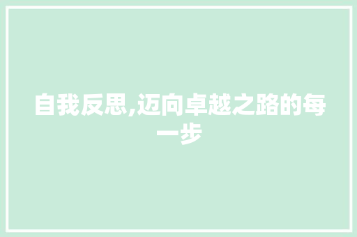 自我反思,迈向卓越之路的每一步