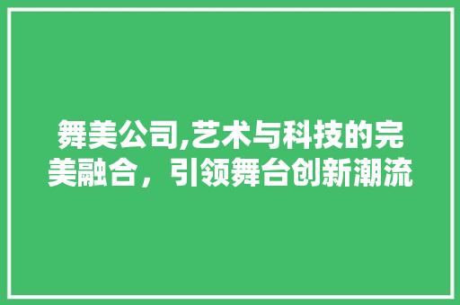 舞美公司,艺术与科技的完美融合，引领舞台创新潮流