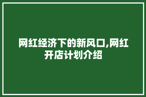 网红经济下的新风口,网红开店计划介绍