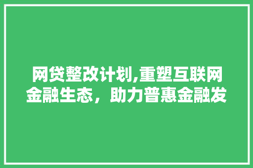 网贷整改计划,重塑互联网金融生态，助力普惠金融发展