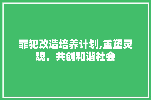 罪犯改造培养计划,重塑灵魂，共创和谐社会