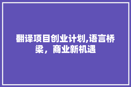 翻译项目创业计划,语言桥梁，商业新机遇