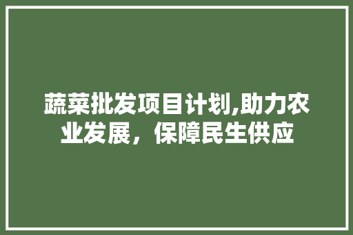 蔬菜批发项目计划,助力农业发展，保障民生供应 生活类