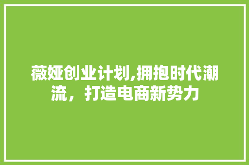 薇娅创业计划,拥抱时代潮流，打造电商新势力