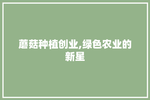 蘑菇种植创业,绿色农业的新星
