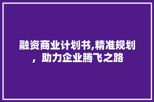 融资商业计划书,精准规划，助力企业腾飞之路