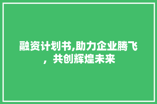 融资计划书,助力企业腾飞，共创辉煌未来