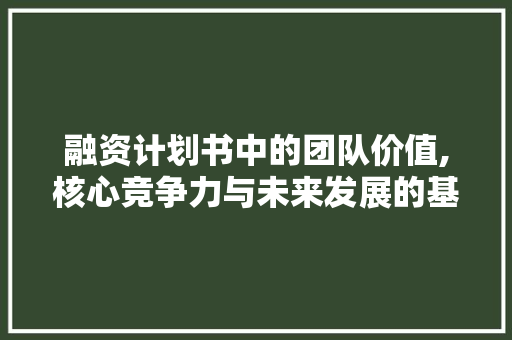 融资计划书中的团队价值,核心竞争力与未来发展的基石