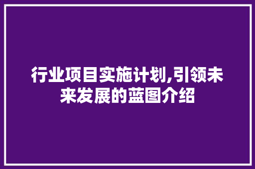 行业项目实施计划,引领未来发展的蓝图介绍