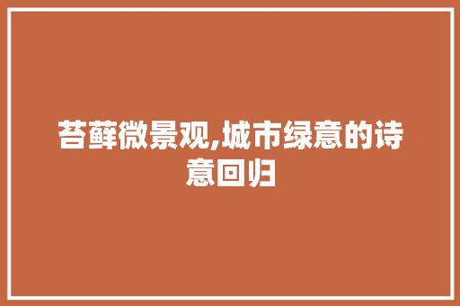 苔藓微景观,城市绿意的诗意回归