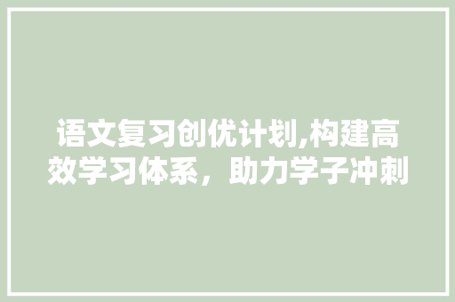 语文复习创优计划,构建高效学习体系，助力学子冲刺佳绩