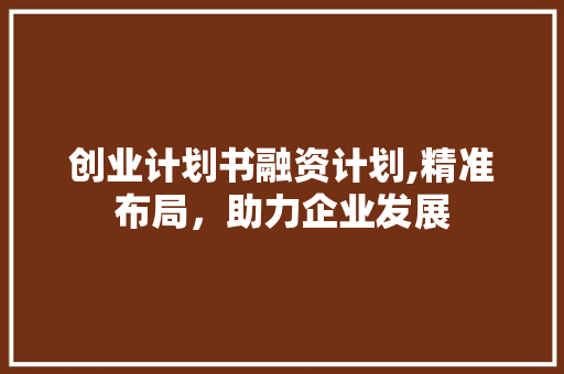 创业计划书融资计划,精准布局，助力企业发展