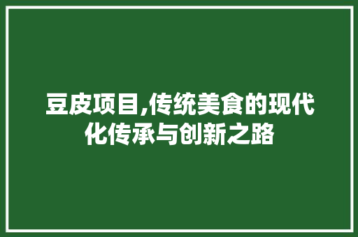 豆皮项目,传统美食的现代化传承与创新之路