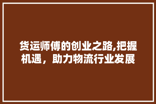 货运师傅的创业之路,把握机遇，助力物流行业发展 工作总结