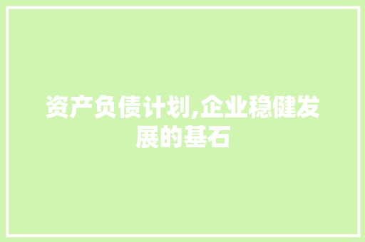 资产负债计划,企业稳健发展的基石 采访稿